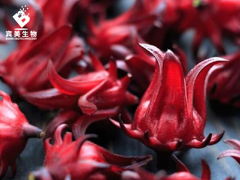 洛神花（玫瑰茄）